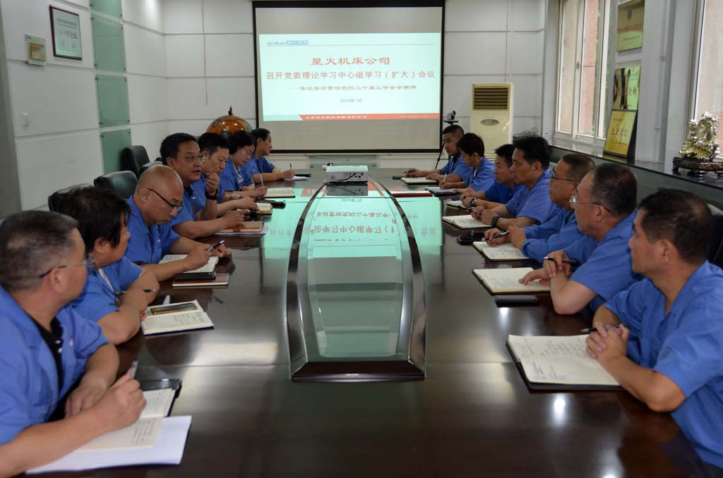 星火公司党委理论学习中心组学习党的二十届三中全会精神